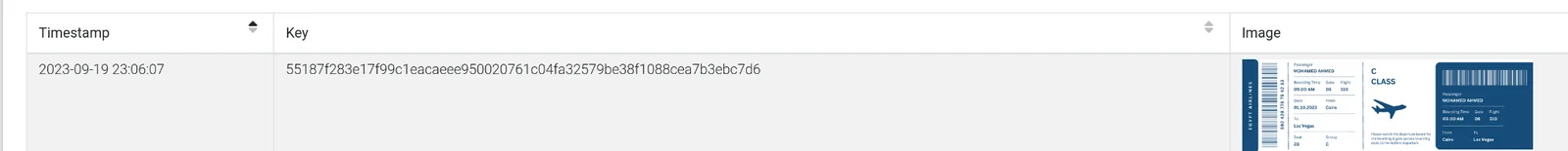 flight_info.webp