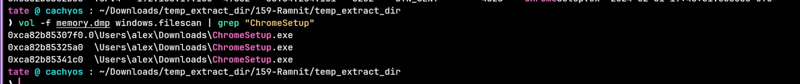 ramnit_filescan.webp