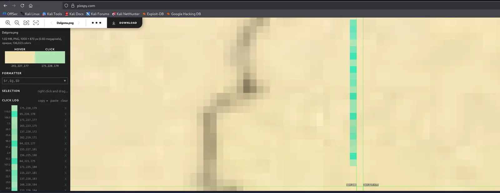 squid_pixspy.webp