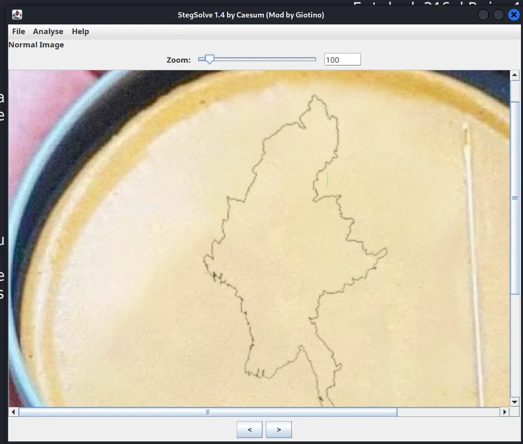 squid_stegsolve.webp