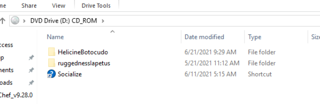 Mounted IMG showing two folders and LNK shortcut