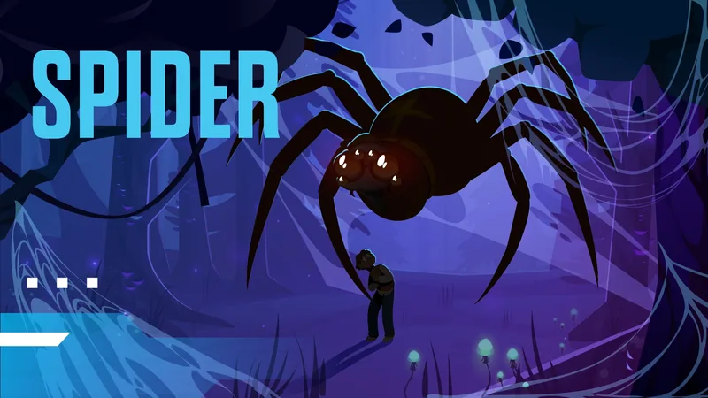 Spider